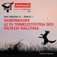Természetfotó kiállítás Szekszárd 2024. Saubermacher Az Év Természetfotósa 2023 pályázat kiállítása