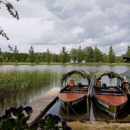 Természetfotós túrák 2024. Elkalauzoljuk a Tisza-tó természeti szépségeihez kishajóval, kenuval
