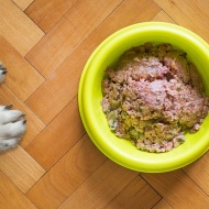 Tippek gyógyszer és táplálékkiegészítő beadására válogatós kutyusoknak
