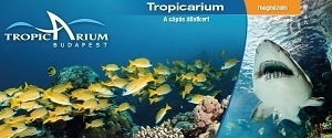 A Tropicarium – a cápás állatkert