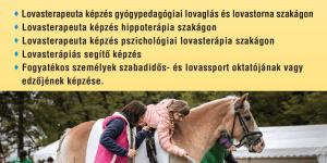 Lovasterapeuta képzések és lovasterápiás segítő képzés a Magyar Lovasterápia Szövetség Alapítványnál