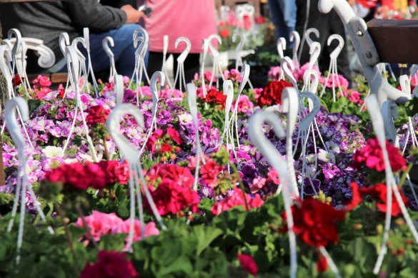 Virágvásár programok 2025. Események, rendezvények