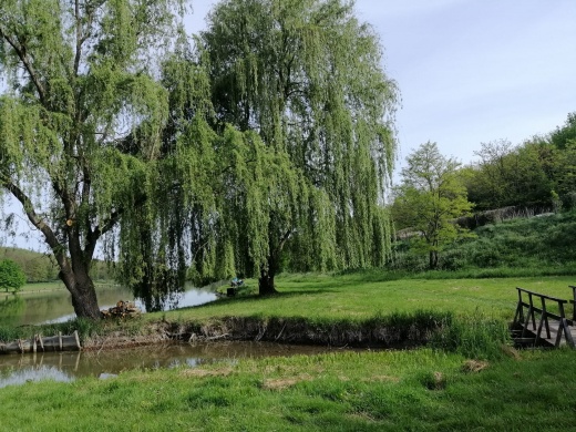 Erdősmároki Horgásztó